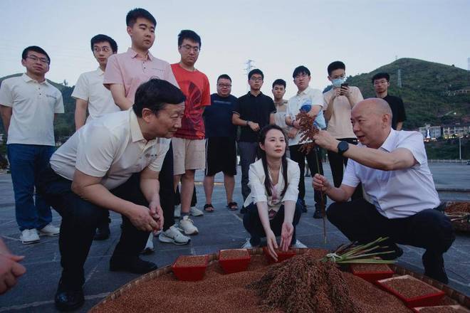 失误, yid, 山东银丰队